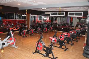 Cybex Excellence Gym