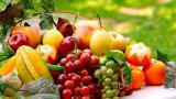 Φρούτα και λαχανικά: Γιατί πρέπει να τρώμε καθημερινά, πως τα επιλέγουμε και πως τα συντηρούμε