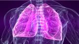 Πώς να κρατήσεις τους πνεύμονες σου υγιείς