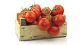 Ντομάτες και Λυκοπένιο – Ένα σωτήριο αντιοξειδωτικό