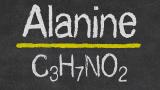 Β-Αλανίνη: Βοηθά πραγματικά στην ανάπτυξη των μυών;