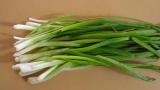 Κρεμμύδι: Το λαχανικό που θα κάνει τα οστά σου σιδερένια