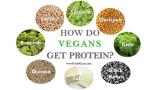 Φυτικές πρωτεΐνες για χορτοφάγους και όχι μόνο